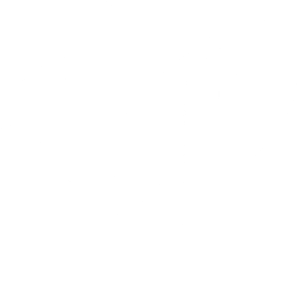 ONEPERF